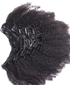 Afro Curly Clip Ins